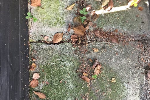 Siisti laatat pika pikaa!